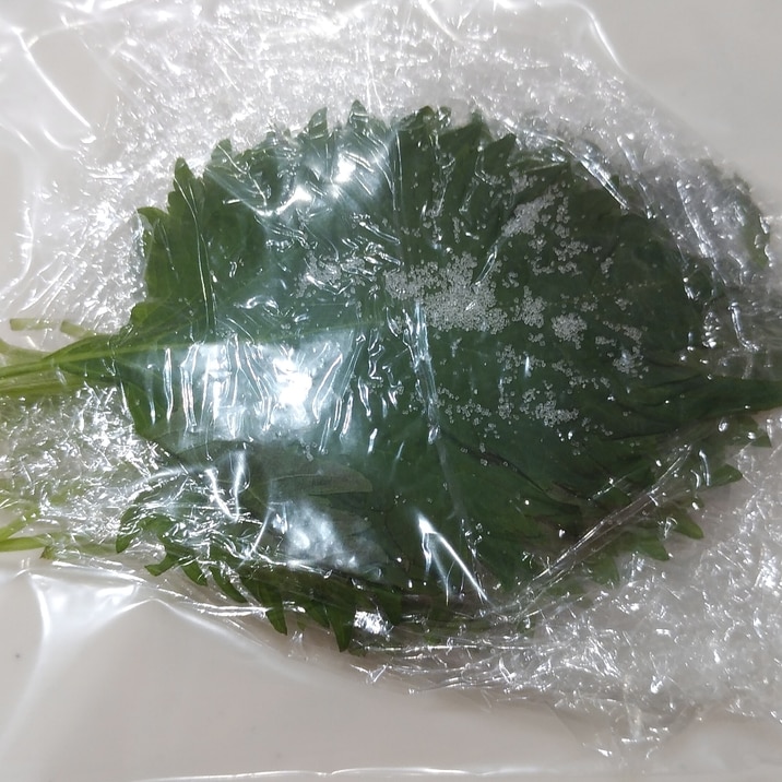 大葉の冷凍で塩漬け レシピ 作り方 By Ryuku55 楽天レシピ 大葉の冷凍で塩漬け レシピ 作り方 By Ryuku55 楽天レシピ
